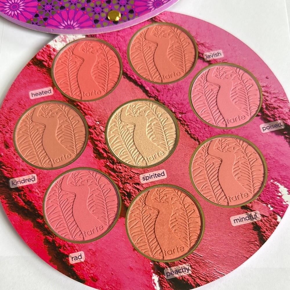 Tarte Big Brush Book 3